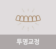 투명교정